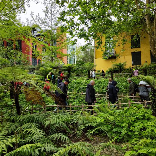 Grupo de personas caminando por una zona verde