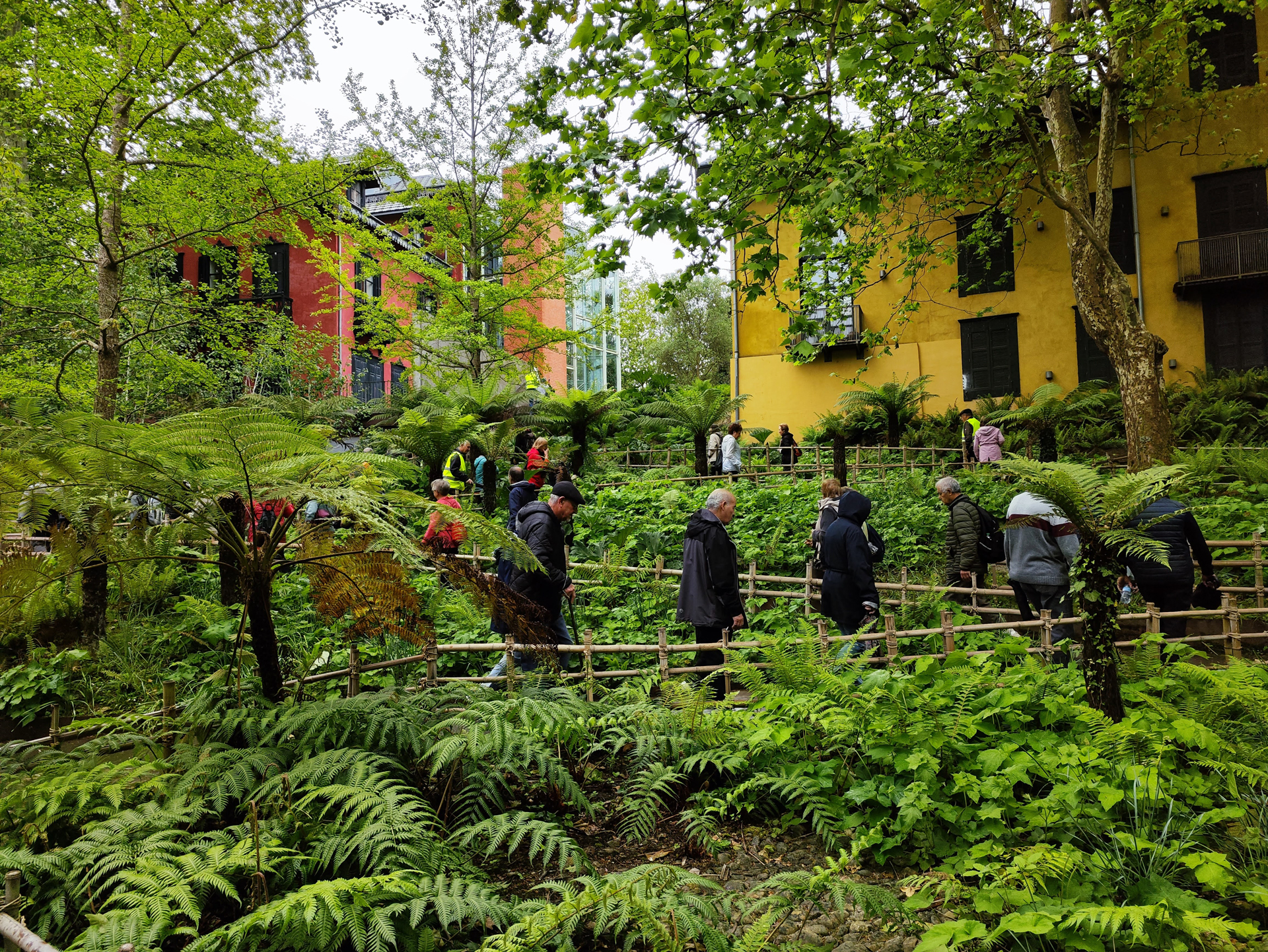 Grupo de personas caminando por una zona verde